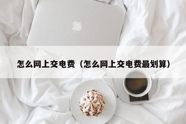怎么网上交电费（怎么网上交电费最划算）