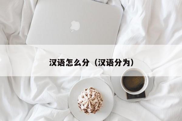 汉语怎么分（汉语分为）