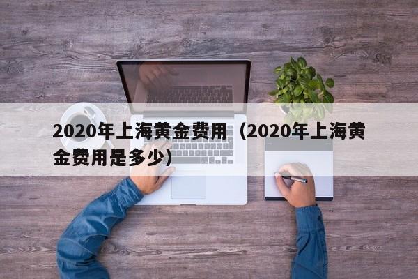2020年上海黄金费用（2020年上海黄金费用是多少）