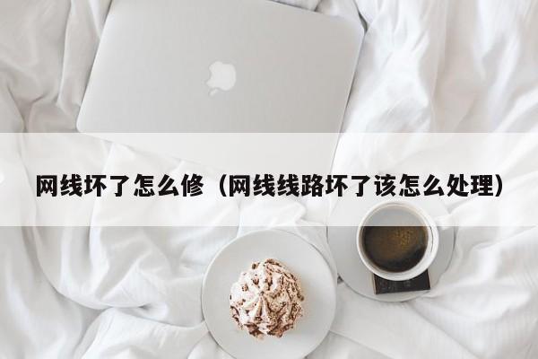网线坏了怎么修（网线线路坏了该怎么处理）