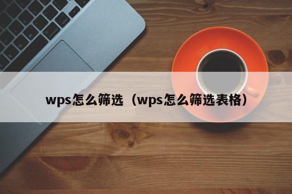 wps怎么筛选（wps怎么筛选表格）
