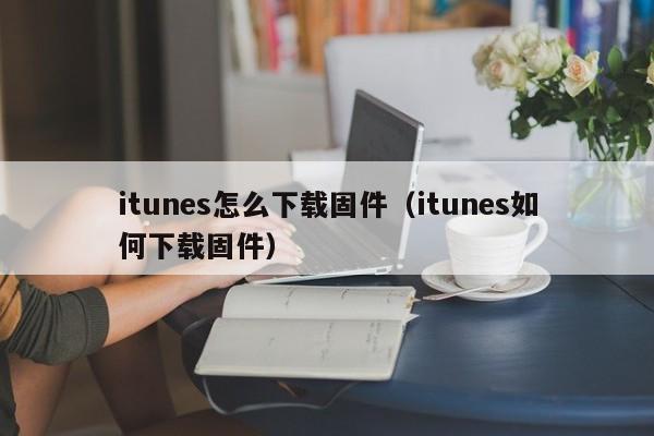 itunes怎么下载固件（itunes如何下载固件）