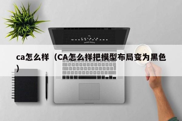 ca怎么样（CA怎么样把模型布局变为黑色）