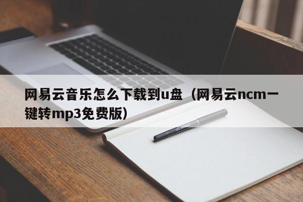 网易云音乐怎么下载到u盘（网易云ncm一键转mp3免费版）