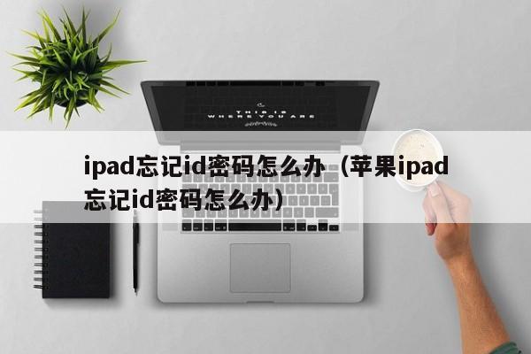 ipad忘记id密码怎么办（苹果ipad忘记id密码怎么办）