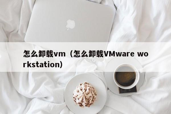 怎么卸载vm（怎么卸载VMware workstation）