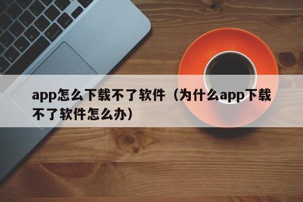 app怎么下载不了软件（为什么app下载不了软件怎么办）