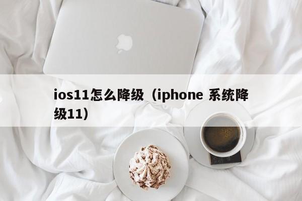 ios11怎么降级（iphone 系统降级11）