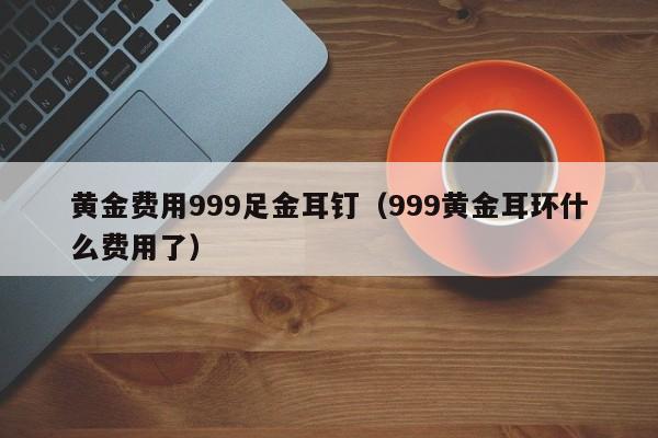 黄金费用999足金耳钉（999黄金耳环什么费用了）