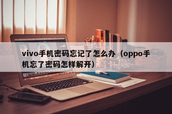 vivo手机密码忘记了怎么办（oppo手机忘了密码怎样解开）