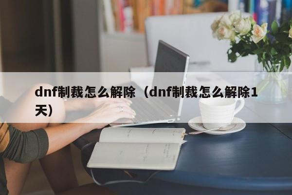 dnf制裁怎么解除（dnf制裁怎么解除1天）
