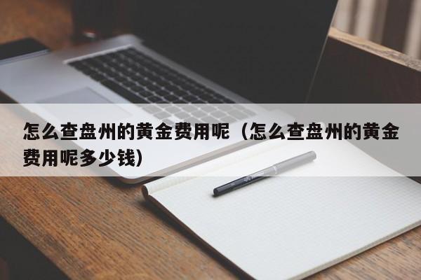 怎么查盘州的黄金费用呢（怎么查盘州的黄金费用呢多少钱）