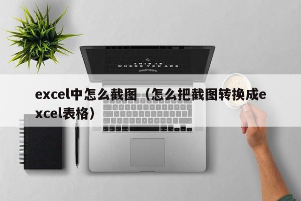 excel中怎么截图（怎么把截图转换成excel表格）
