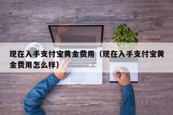 现在入手支付宝黄金费用（现在入手支付宝黄金费用怎么样）