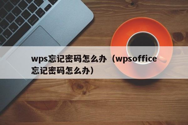 wps忘记密码怎么办（wpsoffice忘记密码怎么办）