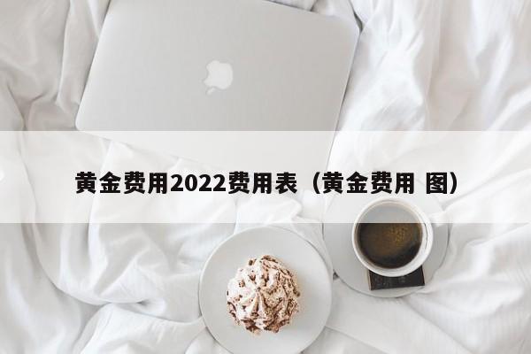 黄金费用2022费用表（黄金费用 图）