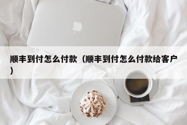 顺丰到付怎么付款（顺丰到付怎么付款给客户）