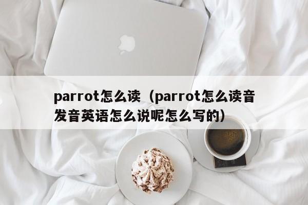 parrot怎么读（parrot怎么读音发音英语怎么说呢怎么写的）