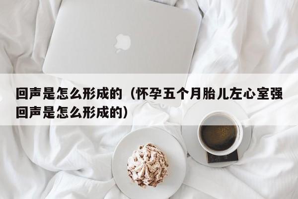 回声是怎么形成的（怀孕五个月胎儿左心室强回声是怎么形成的）