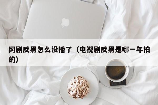 网剧反黑怎么没播了（电视剧反黑是哪一年拍的）