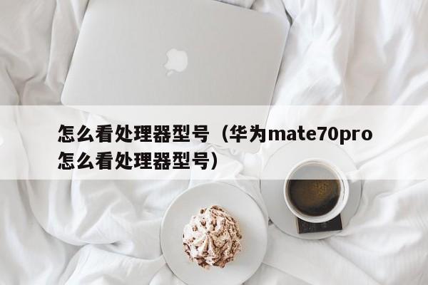 怎么看处理器型号（华为mate70pro怎么看处理器型号）