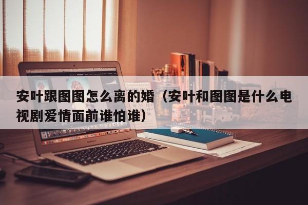 安叶跟图图怎么离的婚（安叶和图图是什么电视剧爱情面前谁怕谁）