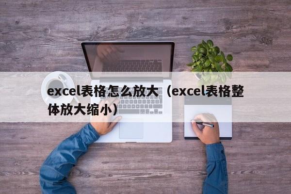 excel表格怎么放大（excel表格整体放大缩小）