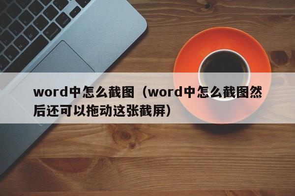word中怎么截图（word中怎么截图然后还可以拖动这张截屏）