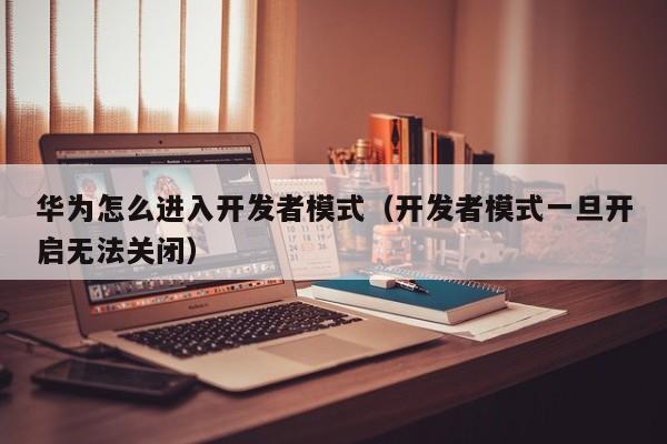 华为怎么进入开发者模式（开发者模式一旦开启无法关闭）