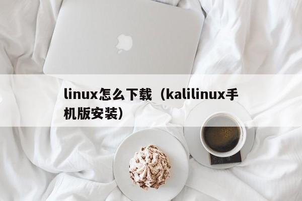 linux怎么下载（kalilinux手机版安装）