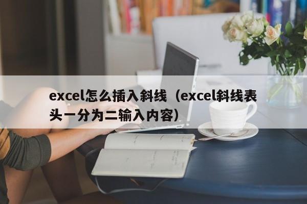 excel怎么插入斜线（excel斜线表头一分为二输入内容）