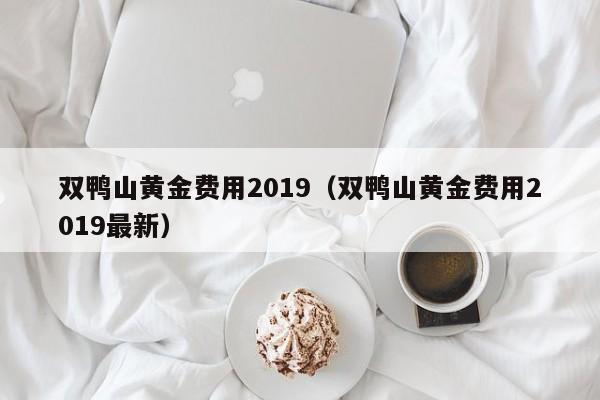双鸭山黄金费用2019（双鸭山黄金费用2019最新）