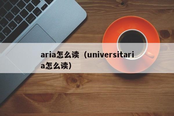 aria怎么读（universitaria怎么读）