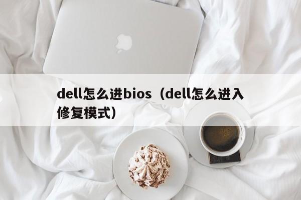dell怎么进bios（dell怎么进入修复模式）