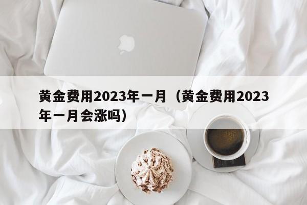 黄金费用2023年一月（黄金费用2023年一月会涨吗）