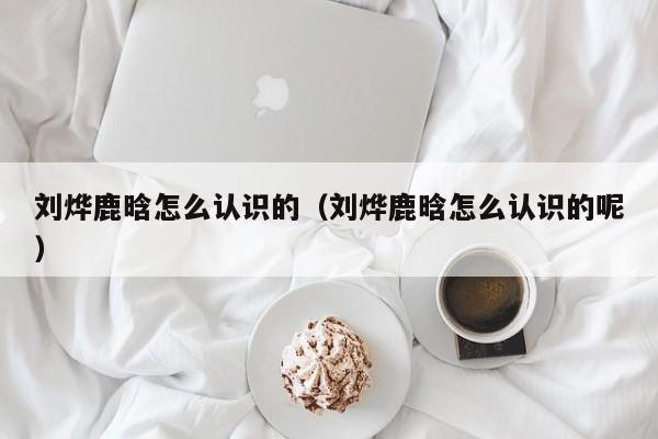 刘烨鹿晗怎么认识的（刘烨鹿晗怎么认识的呢）