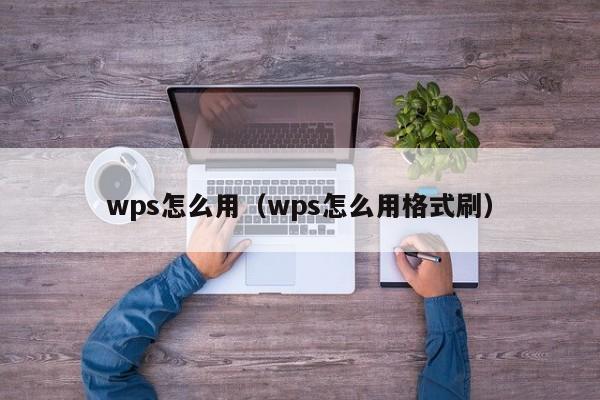 wps怎么用（wps怎么用格式刷）